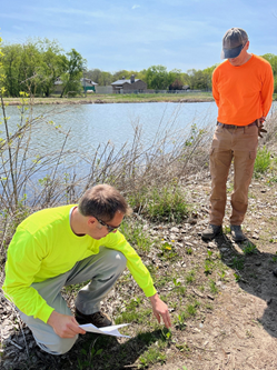 An ecologist with the project team assesses the Eden Prairie establishment progress