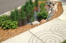 <span class="ff-bold">Living Streets</span><br />
Maplewood